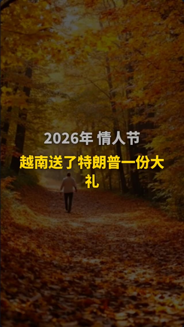 越南星链